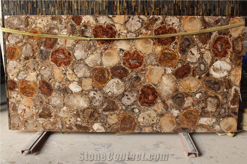 Fossil Brown Stone Petrified Wood Slab