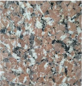 Chinese Red Granite Shidao Tiles Flooring Polished