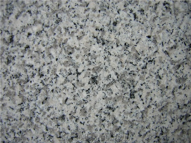 G603 Bacuo White Balma Grey Granite Tiles Slabs