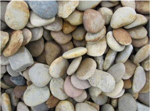 Colorful Natural Oblate Pebble