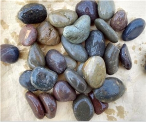 Natural Colorful Pebble Stone