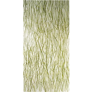 6mm Thick Plant Acrylic Sheet for Window Decor