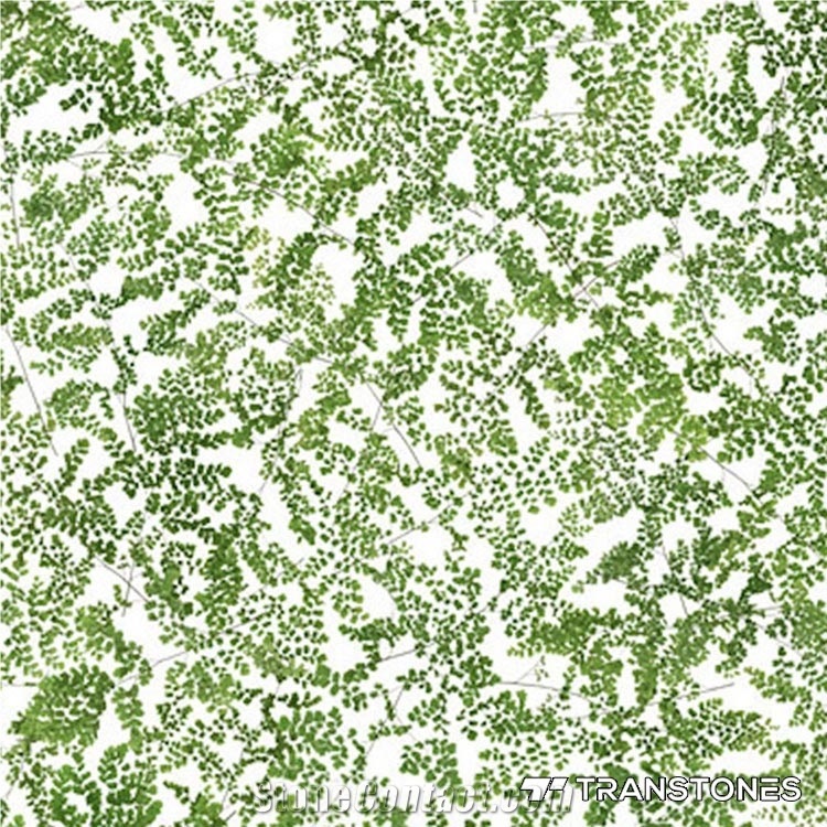 Transtones Green Special Design Acrylic Sheet