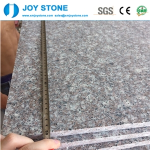 G664 China Brown Granite for Pavement&Flooring