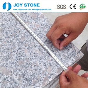 Good Quality&Polished G383 Granite Tiles for Wall