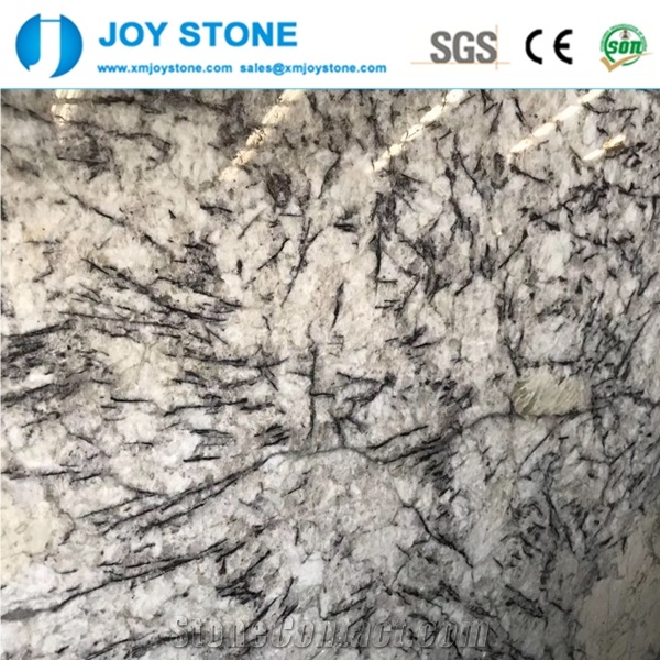 Whole Sale Polish Bianco Antico Granite Countertop from China