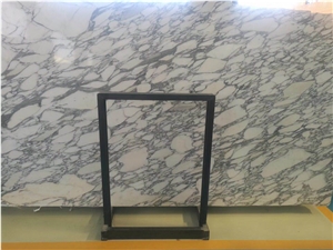 Marble White Color Arabescato Slabs from Italy