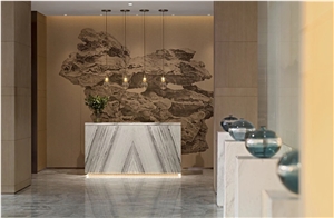 Altius Marble Bookmatch Reception Countertops