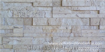 Wall Decor Cultured Stone