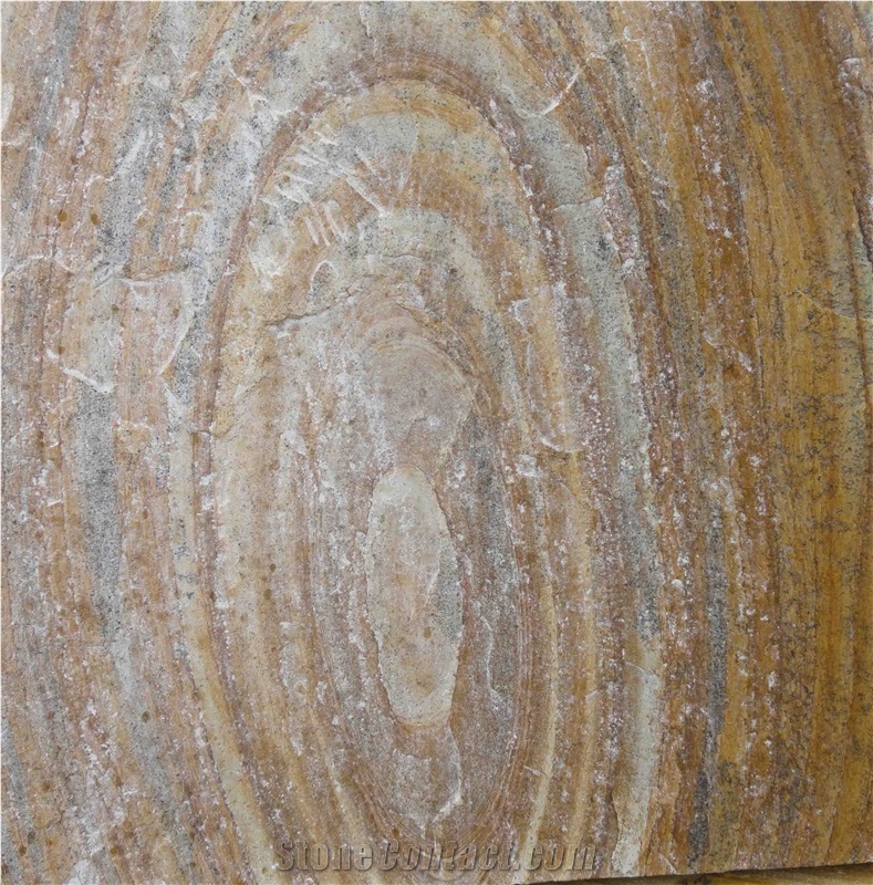 Fossil Mint Sandstone, Sandstone Tiles & Slabs