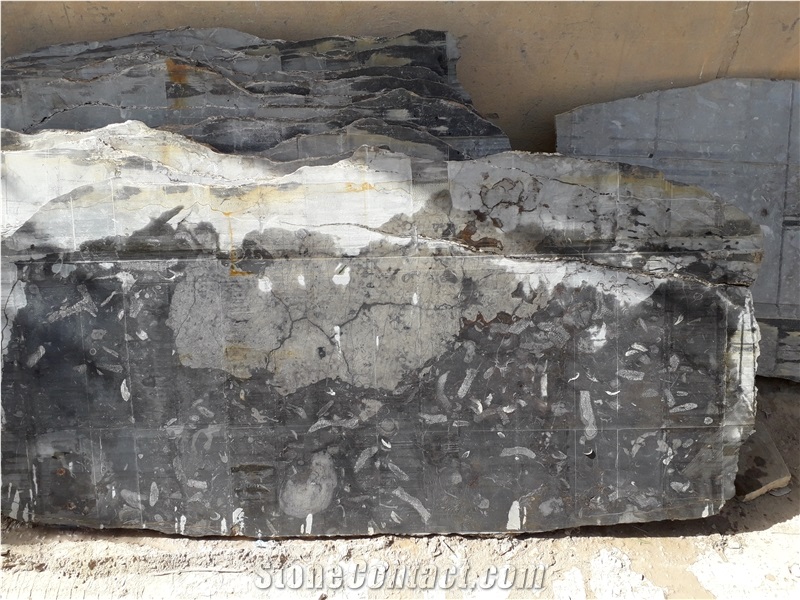 Marble Fossil Black Blocks Morocco Fossil Black Marble Block