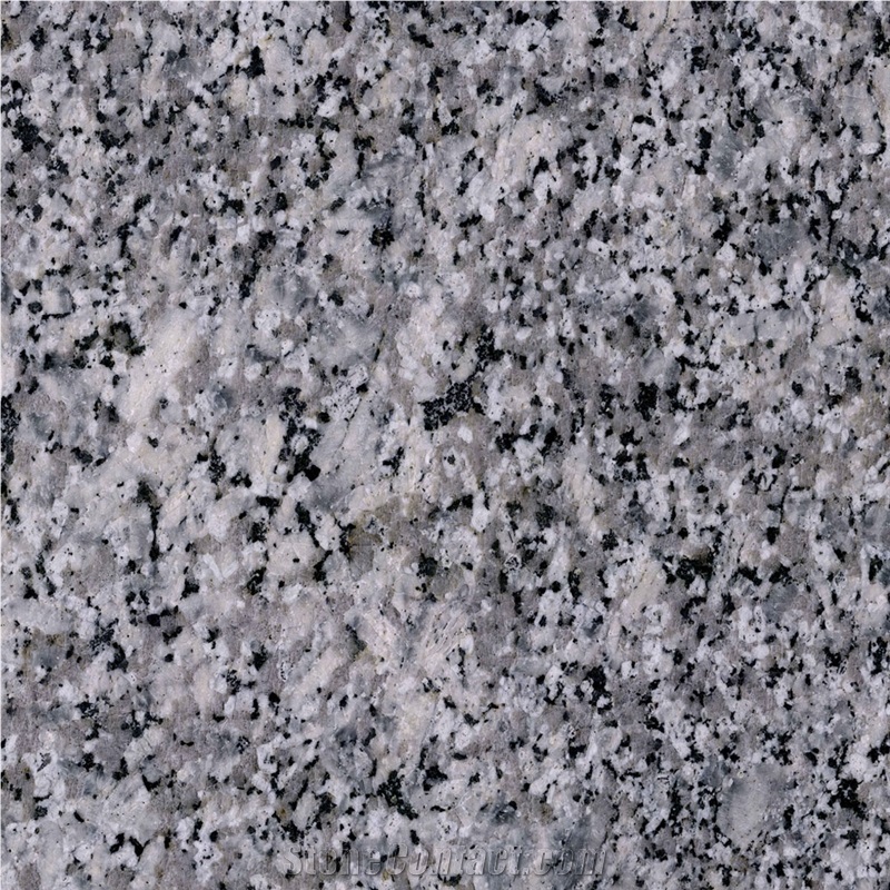 Granite G-008