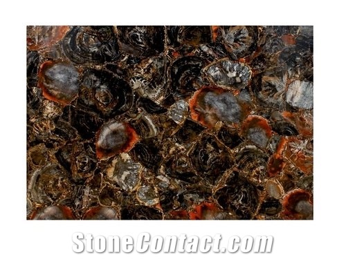 Petrified Wood Semi Precious Stone