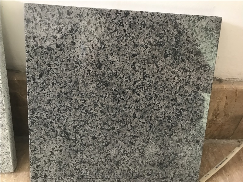 Chinese New G399 Granite Tiles