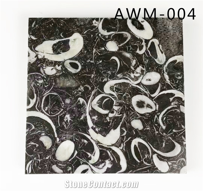 Black Fossil Marble China