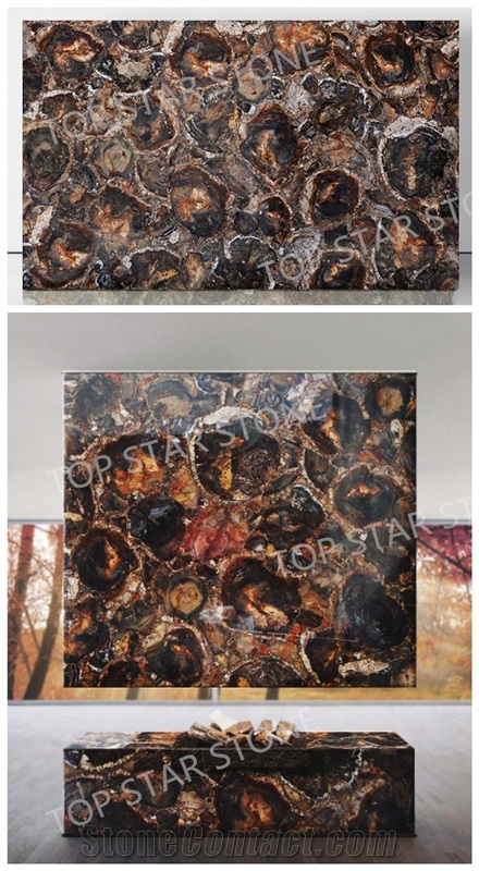 Backlit Semiprecious Petrified Wood Gemstone