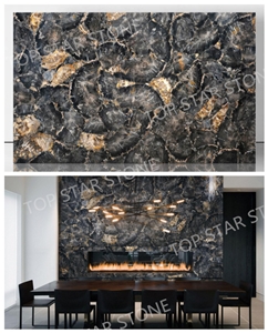 Gemstone Black Petrified Wood Fireplace Surronding