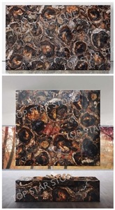Gemstone Black Petrified Wood Fireplace Surronding