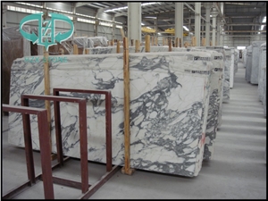 Arabescato Corchia White Marble Slab Tile Italy