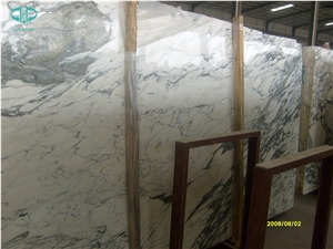 Arabescato White Marble for Interior Project
