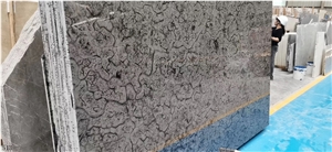China Turtle Venato Marble Slab Wall Floor Tiles