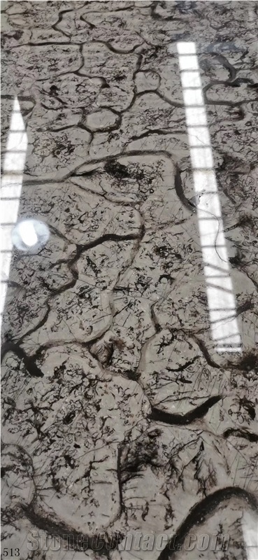 China Turtle Venato Marble Slab Wall Floor Tiles