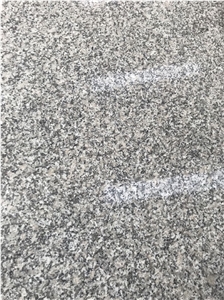 Chinese Cheap Granite Grey Sardo G602 Slabs Tiles
