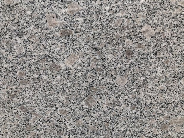G383 Pearl Flower Granite Tiles