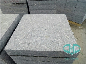 High Quality Spray Grey Granite for Flooring