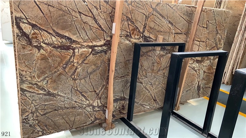 India Rainforest Brown Marble Slab Wall Floor Tile