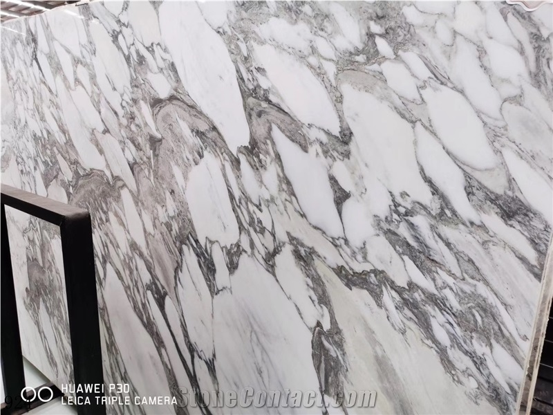 Italy Arabescato Carrara Marble Slab Tiles