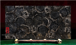 Fossil Wood Black Petrified Wood Slab for Table Top