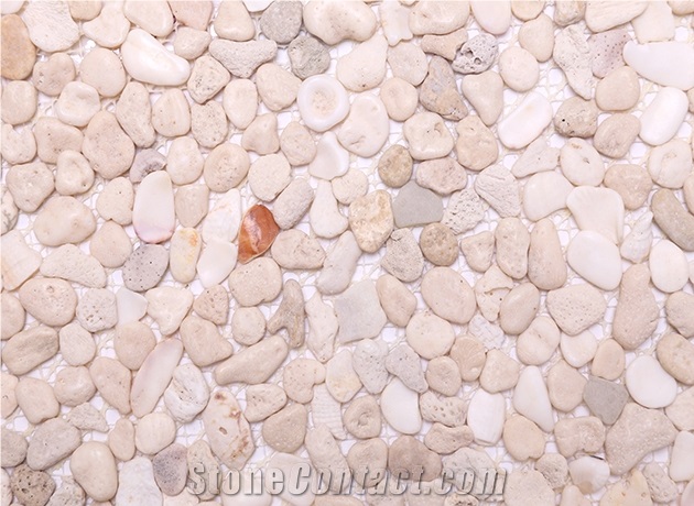Shell Stone-4806 Pebble & Gravel