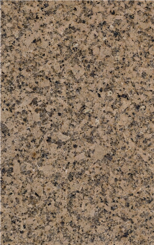 Haiti Gold Granite for Wall & Floor Application