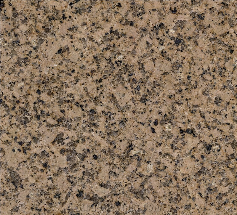 Haiti Gold Granite for Wall & Floor Application