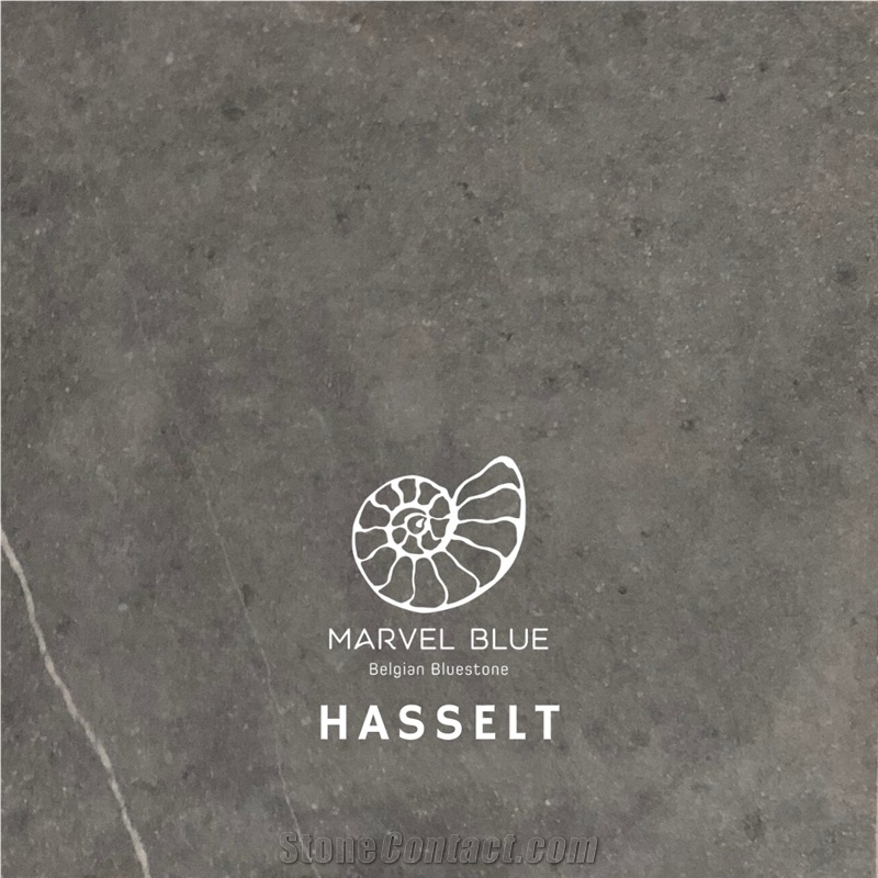 Marvel Blue Hasselt / Belgian Bluestone