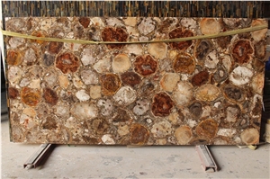 Brown Patrified Wood Stone Backlit Gemstone Slab