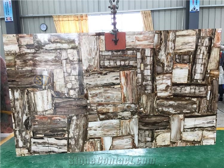 Factory Price Petrified Wood Slab For Sale
