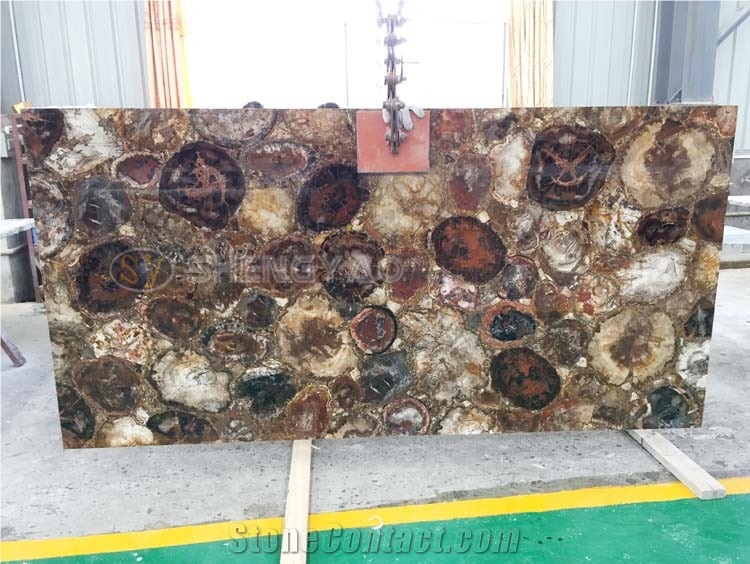 Natural Petrified Wood Stone Tile Wall Slab