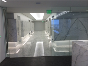 Carrara White Marble Wall Application