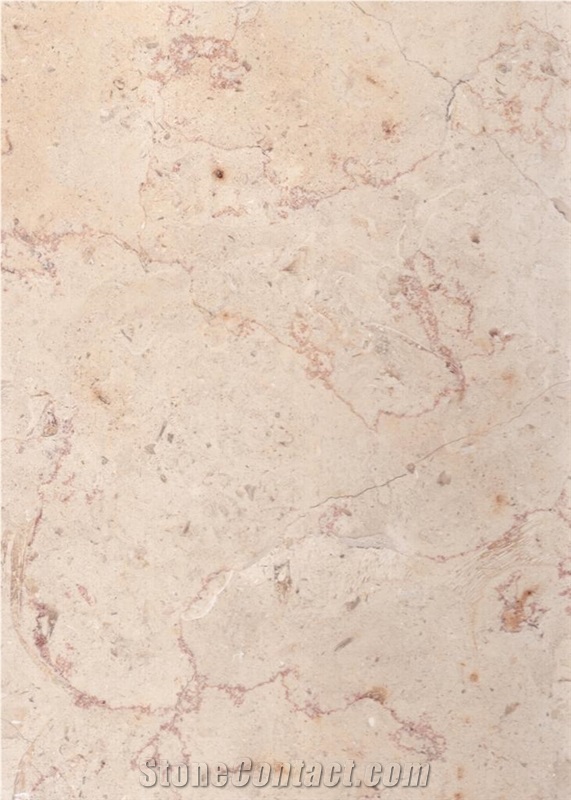 Hebron Pink Polished Limestone Tiles