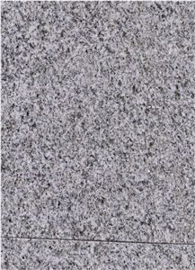 China Silver White Granite Slabs,Tiles