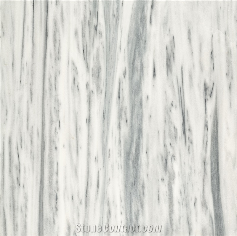 Bianco Griseo White Marble