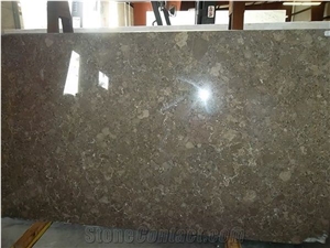 Fossil Brown Marble Tiles & Slabs