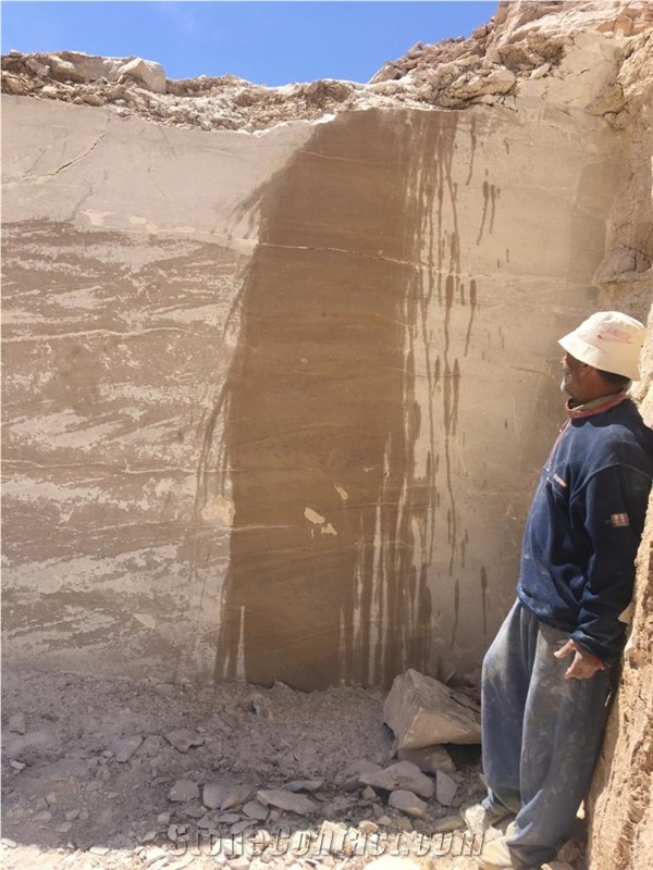 Moca Beige New Limestone from Egypt