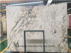 Bianco Calacatta Paonazzetto Marble Slabs Tlies