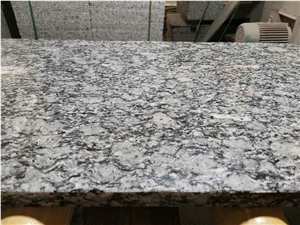 Cheapest China White Wave Shelll Granite Tile Slab