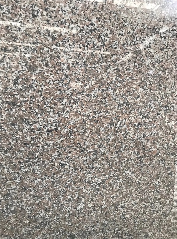 Qingdao New G664 Granite Big Slab Brown Color