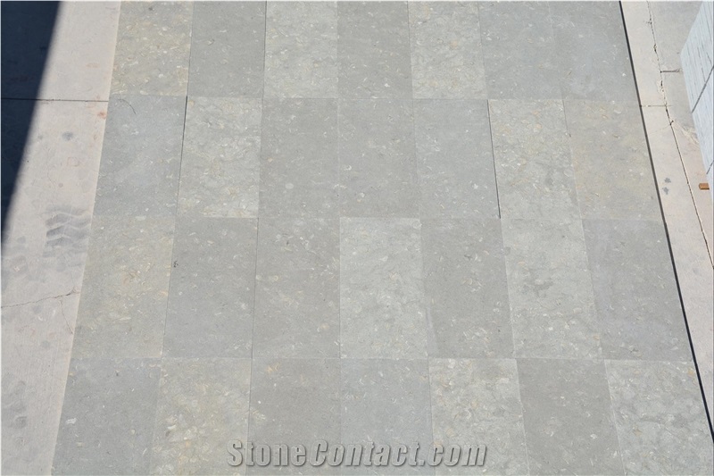 Coquillage, Green and Gray Limestone Honed Tiles