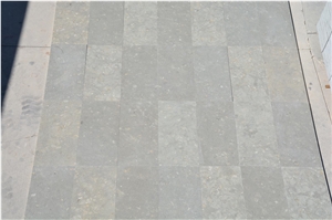 Coquillage, Green and Gray Limestone Honed Tiles